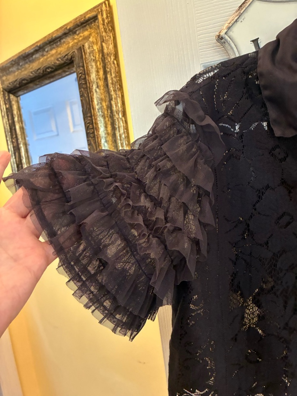 Free People, Madonna, Black Lace Sheer Ruffle Sleeve Cropped Top - Picture 4 of 13